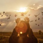 The evolving role of women in church leadership